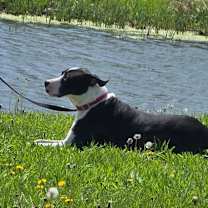 Thumbnail photo of Mike #3