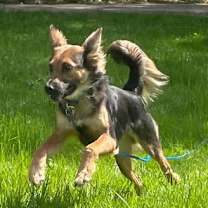 Thumbnail photo of Andee #2