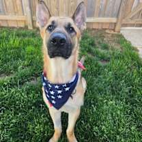 Thumbnail photo of Maddox #1