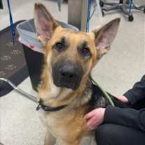 Thumbnail photo of Maddox #2