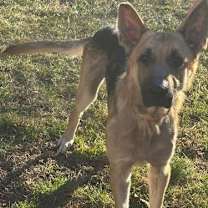 Thumbnail photo of Maddox #3