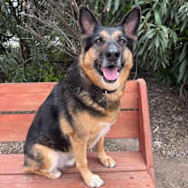 Thumbnail photo of Gunner II #3