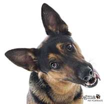 Thumbnail photo of Gunner II #4