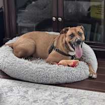 Thumbnail photo of Carter #2
