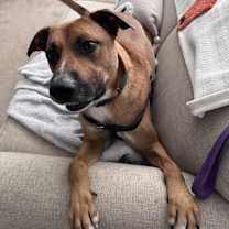 Thumbnail photo of Carter #4