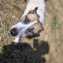 Thumbnail photo of Jayde #3