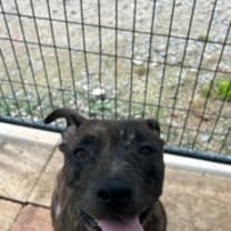 Thumbnail photo of Tank #3