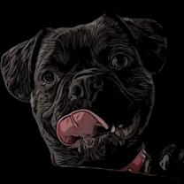 Thumbnail photo of Lilo #2