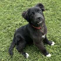 Thumbnail photo of Aaron #1