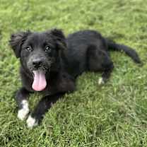 Thumbnail photo of Aaron #2