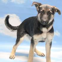 Thumbnail photo of Dutchess #4