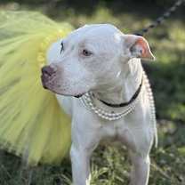 Thumbnail photo of Kate Hudson #1