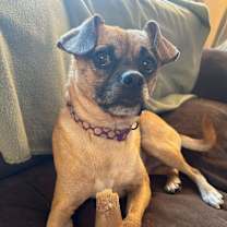 Thumbnail photo of Otho #1