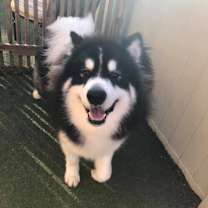 Thumbnail photo of Rain #1