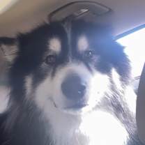 Thumbnail photo of Rain #2