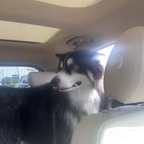 Thumbnail photo of Rain #3