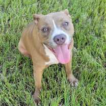 Thumbnail photo of DAISY #2