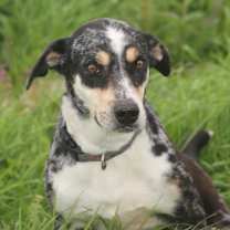 Thumbnail photo of Clorisa #1