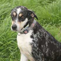 Thumbnail photo of Clorisa #2