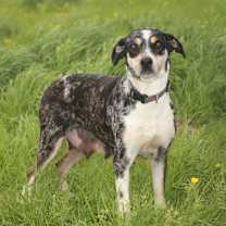 Thumbnail photo of Clorisa #3