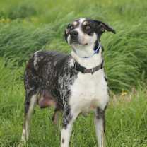 Thumbnail photo of Clorisa #4