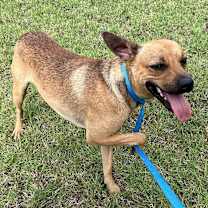 Thumbnail photo of Miles #2