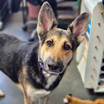 Thumbnail photo of Juliette #1