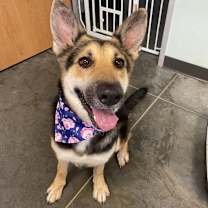 Thumbnail photo of Juliette #2