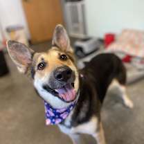 Thumbnail photo of Juliette #4