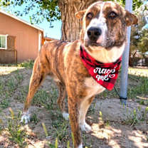 Thumbnail photo of TARA #4