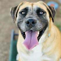 Thumbnail photo of Gouda #3