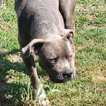 Thumbnail photo of Truffle #3