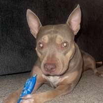 Thumbnail photo of Lady Cakes #2