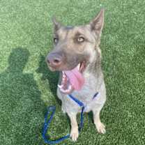 Thumbnail photo of Mali #1