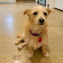 Thumbnail photo of Dorothy #3