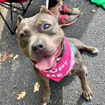 Thumbnail photo of Scarlet #3