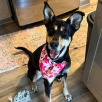 Thumbnail photo of Sunny #3