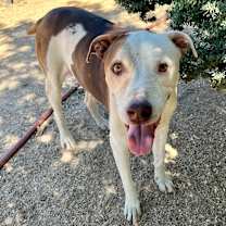 Thumbnail photo of LITTLE DUDE & PRINCE #3