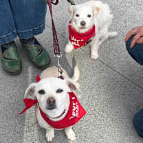 Thumbnail photo of Mallory & Valerie #3