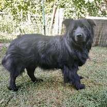 Thumbnail photo of Sammy #2