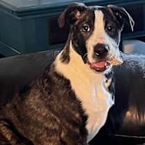 Thumbnail photo of Mickey #4