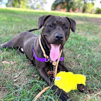 Thumbnail photo of Delaney #1