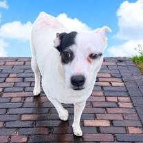 Thumbnail photo of Mamabear #3