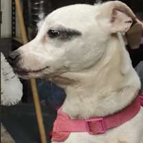 Thumbnail photo of Mamabear #4