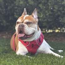 Thumbnail photo of Lana #2