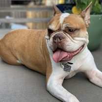 Thumbnail photo of Lana #3