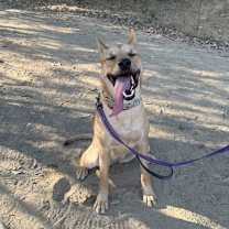 Thumbnail photo of Maggie #4