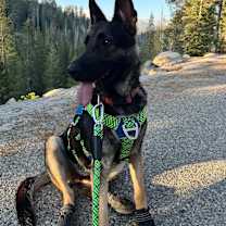 Thumbnail photo of Porsche #2