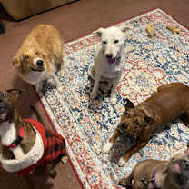 Thumbnail photo of Snow White #3