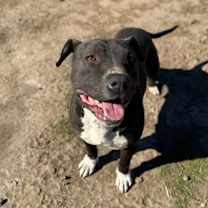 Thumbnail photo of Pete #3